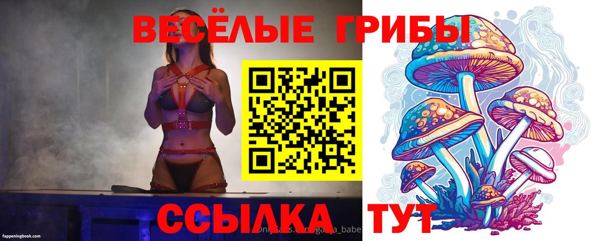 Галлюциногенные грибы прущие грибы Каспийск
