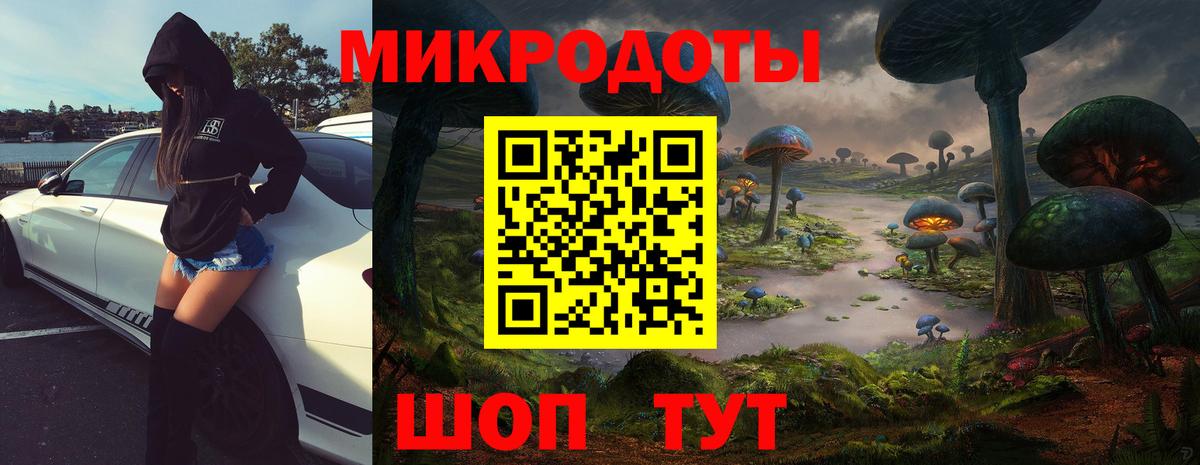 Псилоцибиновые грибы мухоморы  купить  цена  Каспийск  Вход с VPN  Псилоцибиновые грибы Psilocybe 